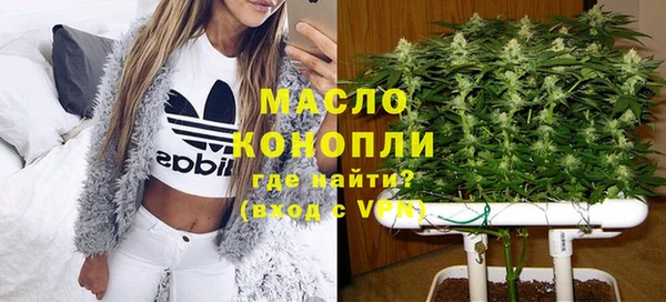 винт Лагань