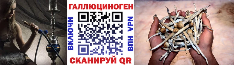 Купить закладки  Соль-Илецк  Псилоцибиновые грибы Magic Shrooms 